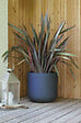 EDA - Pot de fleurs Graphit Up - Gris anthracite - Diam.48,5cm - vignette
