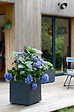 EDA - Pot de fleurs carré 50 cm Basalt gris anthracite - vignette