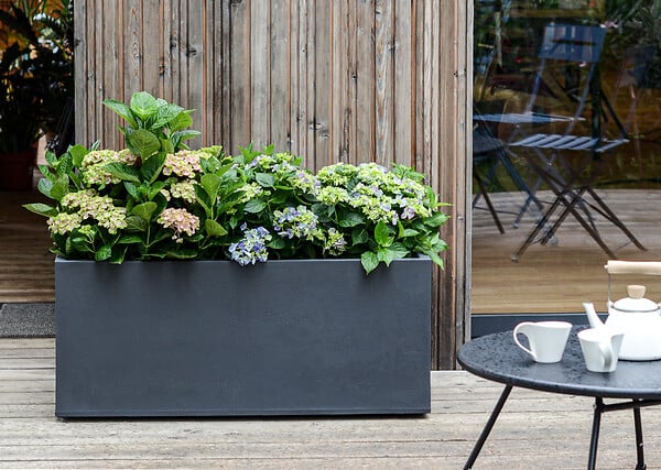 EDA - Jardinière Basalt polypropylène - Gris anthracite - 98L - large