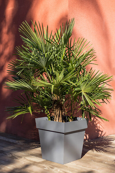 EDA - Pot de fleurs Toscane 87 L gris anthracite - large