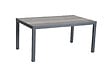 Table de jardin TREE - Aluminium - Gris foncé - 10 personnes - vignette