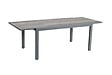 Table de jardin TREE - Aluminium - Gris foncé - 10 personnes - vignette