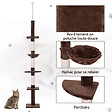 PAWHUT - Arbre à chat poteau à griffer L40 x l 34 x H 230-260 cm 5 niveaux d'activités marron - vignette