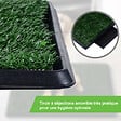 PAWHUT - Litière gazon synthétique chiens toilettes portables à pelouse tiroir à déjection 63L x 51l x 6H cm noir vert - vignette