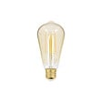XANLITE - Ampoule LED connectée filament, culot E27, forme ST64, puissance 5,5W, équivalent 40W, flux 470 lm, éclairage CCT, variation de luminosité, compatible Alexa et Google Home - vignette