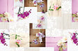FEELINE - Set De Table Polypro Imprime 28X43 - vignette