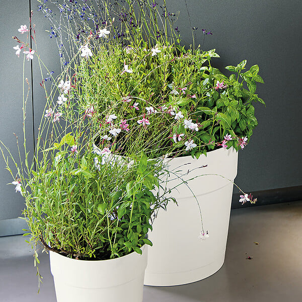 DEROMA - Pot réserve d'eau Save R Bianco - Blanc - Diam.38xH.34cm - large