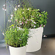 DEROMA - Pot réserve d'eau Save R Bianco - Blanc - Diam.38xH.34cm - vignette