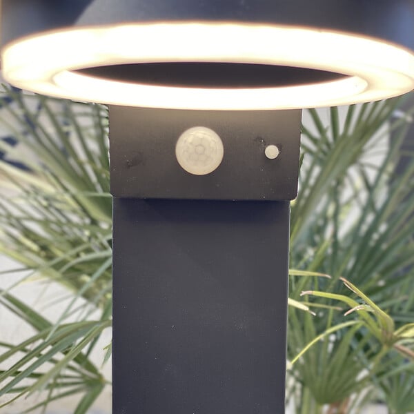 LUMIHOME - Borne extérieure solaire Daytona Led - Noir - 50cm - large
