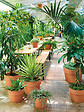 DEROMA - Pot Perfetto Cotto en terre cuite - Diam.24.5xH.19.7cm - vignette