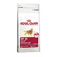 ROYAL CANIN - Croquettes chat FIT32 10kg - vignette