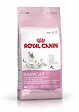 ROYAL CANIN - Croquettes pour chatte en gestation ou lactation et chatons - vignette