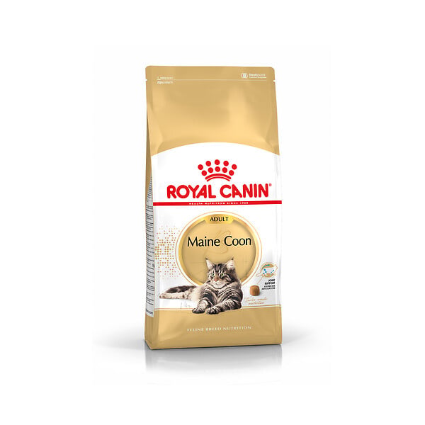 ROYAL CANIN - Croquettes chat Maine Coon adulte - 15 mois - large