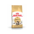 ROYAL CANIN - Croquettes chat Maine Coon adulte - 15 mois - vignette