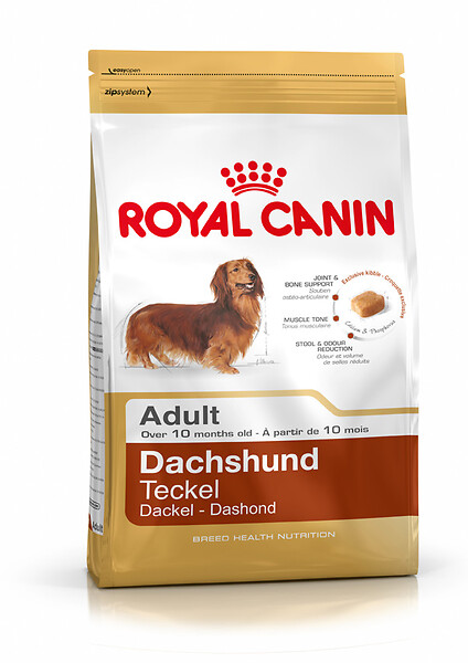 ROYAL CANIN - Croquettes chien DACHSHUND ADULT TECKEL ADULTE PLUS DE 10 MOIS 1.5KG - large