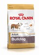 ROYAL CANIN - Croquettes chien BULLDOG ADULT 12kg - vignette