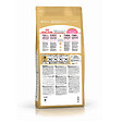 ROYAL CANIN - Croquettes chat PERSIAN KITTEN CHATON 2kg - vignette