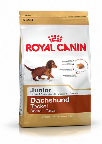 ROYAL CANIN - Croquettes chien TECKEL JUNIOR 1.5kg - large
