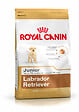 ROYAL CANIN - Croquettes chien LABRADOR JUNIOR 3kg - vignette
