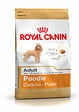 ROYAL CANIN - Croquettes chien POODLE CANICHE ADULT 1.5KG - vignette