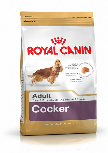 ROYAL CANIN - Croquettes chien COCKER ADULT CHIEN PLUS DE 12 MOIS 3KG - large