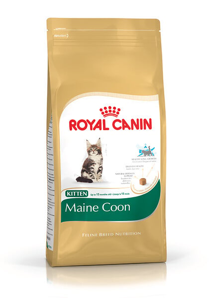 ROYAL CANIN - Croquettes chat MAINE COON KITTEN 4kg - large