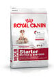 ROYAL CANIN - Croquettes chien MEDIUM STARTER MetB 4KG - vignette