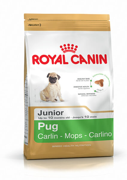 ROYAL CANIN - Croquettes chien PUG JUNIOR 1.5kg - large