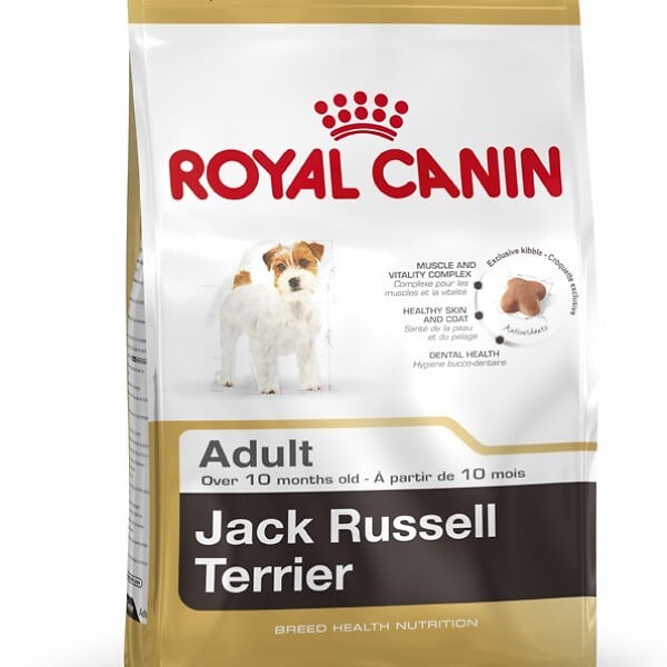 ROYAL CANIN - Croquettes chien JACK RUSSELL ADULT CHIEN PLUS DE 10 MOIS 1.5KG - large