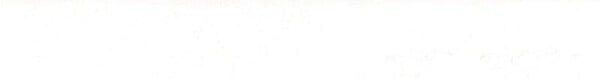 SPTD - Couvre-chant souple 19mmx2ml blanc - large