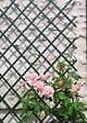 NORTENE - Trellis extensible TRELLIFLEX PVC vert 1x3m - vignette