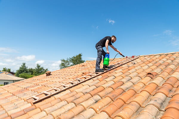 HAILO - Échelle de toit bois Safety Roof 5m - large