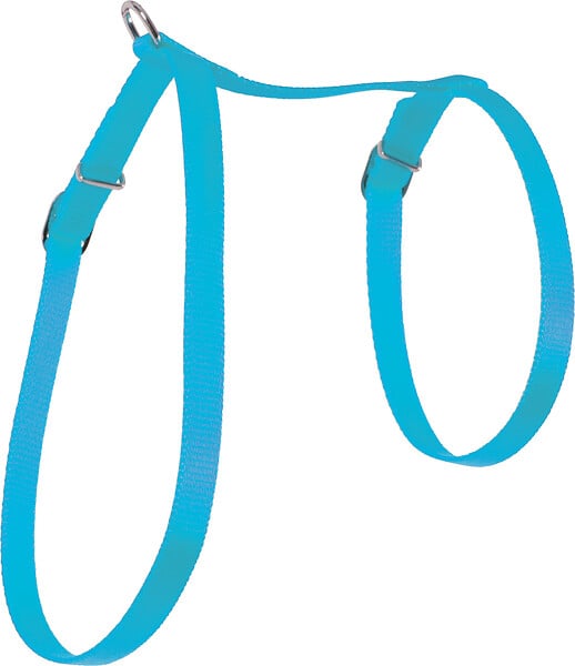 ZOLUX - Harnais nylon pour chat - Turquoise - Largeur 10 mm - large