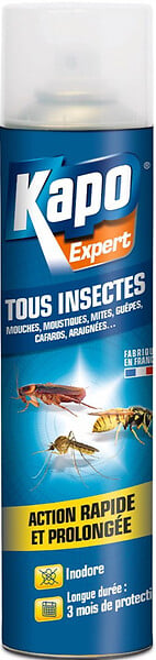 KAPO - Insecticide tous insectes Aérosol 500ml - large