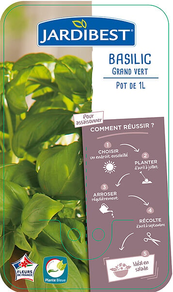 JARDIBEST - Basilic grand vert - Pot de 1L - large
