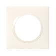 LEGRAND - Plaque Dooxie 1 poste - Plastique - Blanc - 1 module - vignette