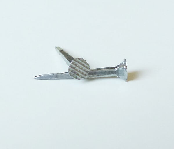 COTEKA - Semence cordonnier blanchie 16mm - large