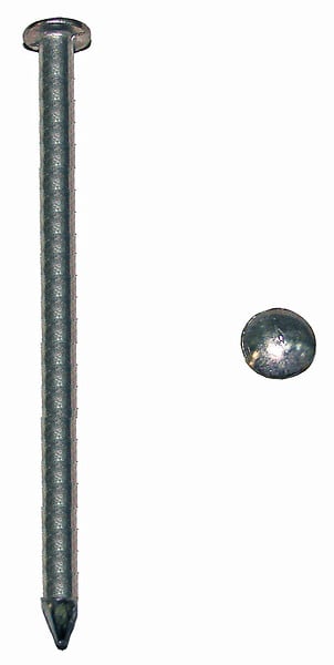 COTEKA - 900g pointes tête plate acier zingué 3x70mm - large