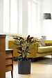 EDA - Pot de fleurs rond Aquaduo de 28,5 cm gris anthracite - vignette