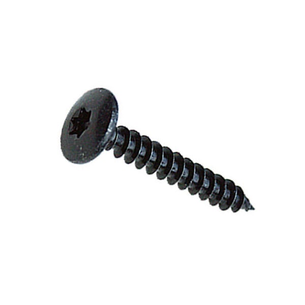 Pack de 200 vis Torx spéciale penture en acier zingué noir 6x40 mm - large