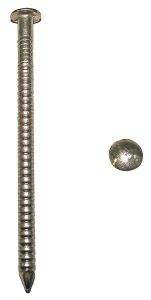 COTEKA - Pointes annelées à tête ronde bombée inox A4 L.50mm 500g - large