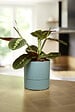 EDA - Pot de fleurs rond Aquaduo de 19,3 cm vert eucalyptus - vignette