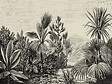 AS CREATION - Papier peint panoramique Palmeraie - Noir et blanc - L.371xH.280cm - vignette