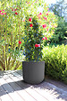 EDA - Pot rond Basalt Up - Gris anthracite - 32,5L - vignette