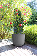 EDA - Pot rond Basalt - Gris béton - 32,5L - Diam.38,5xH.36,8cm - vignette