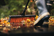FISKARS - Balai d'extérieur multi-usage - Solid L - 48cm - vignette