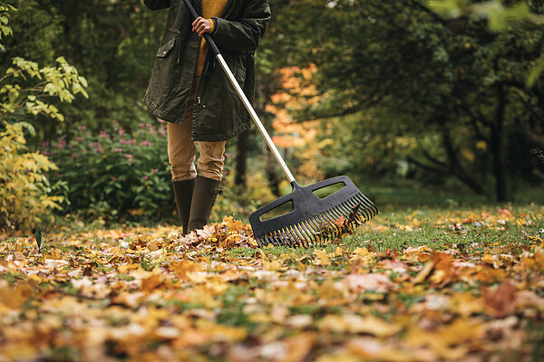 FISKARS - Balai feuilles-gazon Xact XXL 63 dents - large