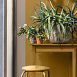 DULUX VALENTINE - Bombe de peinture Color Touch - Terre d'Argile - 400ml - vignette