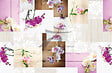 FEELINE - Set De Table Polypro Imprime 28X43 - vignette