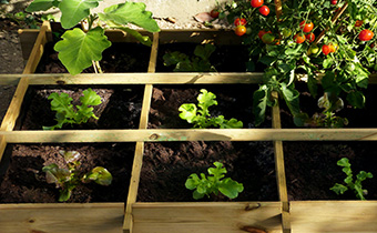 Pot, jardinière et carré potager - Bricorama